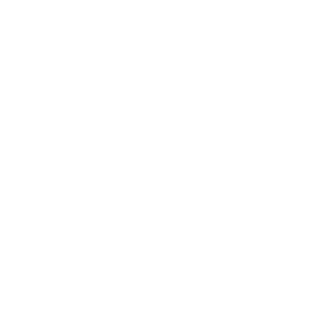 BN-Logo